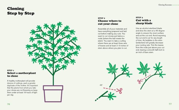 Cannabis: A Beginner's Guide to Growing Marijuana - Image 4