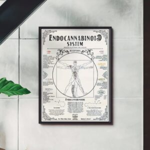 Cannabis Education 'endocannabinoid System' Poster - Decoration Home Dispensary Wall Decor Poster And Canvas