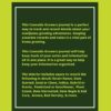 Cannabis Growers Journal: Marijuana Growing & Harvesting Log, Grow, Keeping Track Of Details, Record Strains, Medical & Recreational Weed Reference, Notebook - Image 2