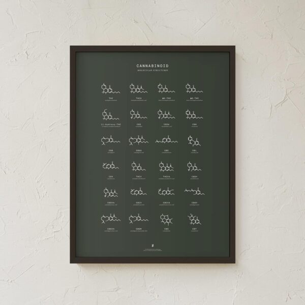 Goldleaf Cannabinoid Molecular Structures Chart Print, Minimalist Cannabinoid Chemical Structure Poster, Cannabis Science Art, Cannabinoid Education Poster (18x24) - Image 6