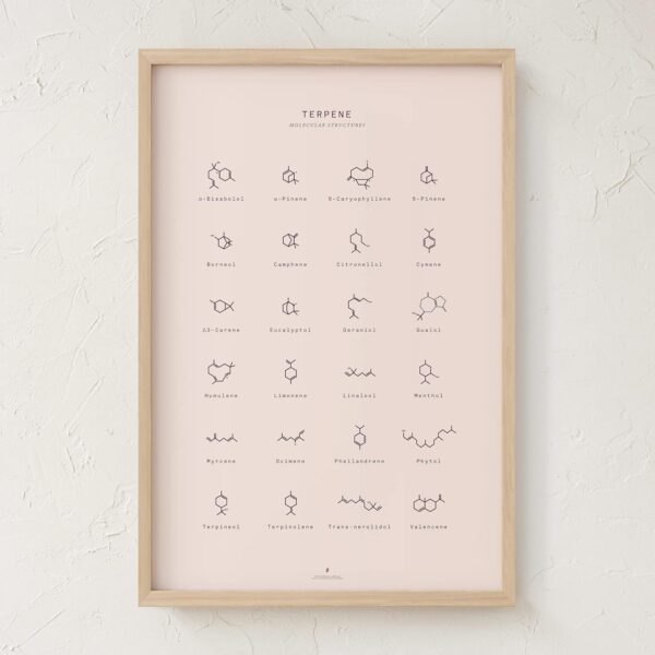 Goldleaf Terpene Molecular Structures Chart Print, Minimalist Terpene Chemical Structure Poster, Cannabis Decor, Science Wall Art, Terpene Education Infographic (24x36) - Image 5