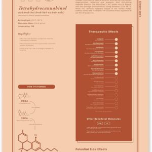 Goldleaf THC Infographic Print, Cannabinoid Education Poster, Tetrahydrocannabinol Chart, Dispensary Decor, Minimalist Cannabis Wall Art, Unframed (THC, 24x36)