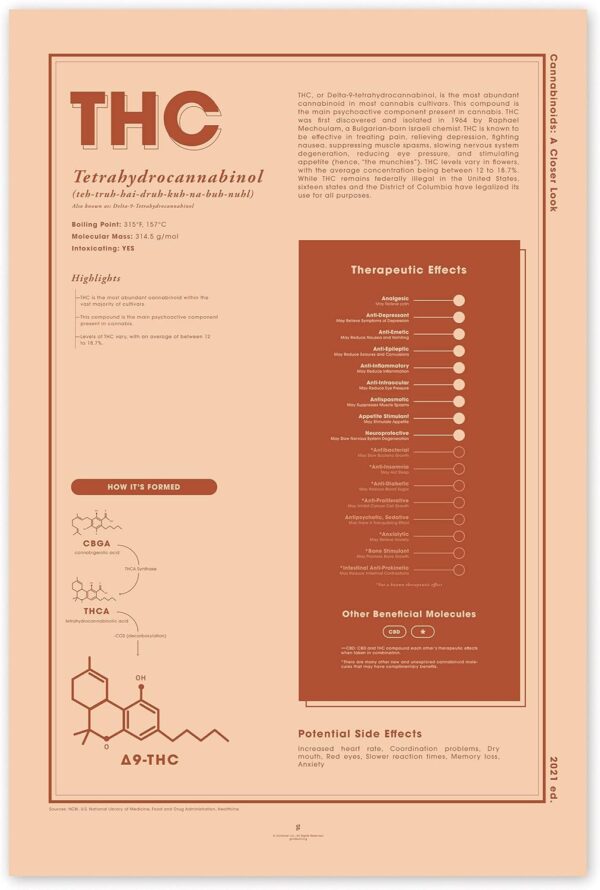 Goldleaf THC Infographic Print, Cannabinoid Education Poster, Tetrahydrocannabinol Chart, Dispensary Decor, Minimalist Cannabis Wall Art, Unframed (THC, 24x36)