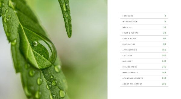 Weed: A Connoisseur’s Guide to Cannabis - Image 3