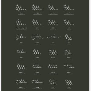 Goldleaf Cannabinoid Molecular Structures Chart Print, Minimalist Cannabinoid Chemical Structure Poster, Cannabis Science Art, Cannabinoid Education Poster (18x24)