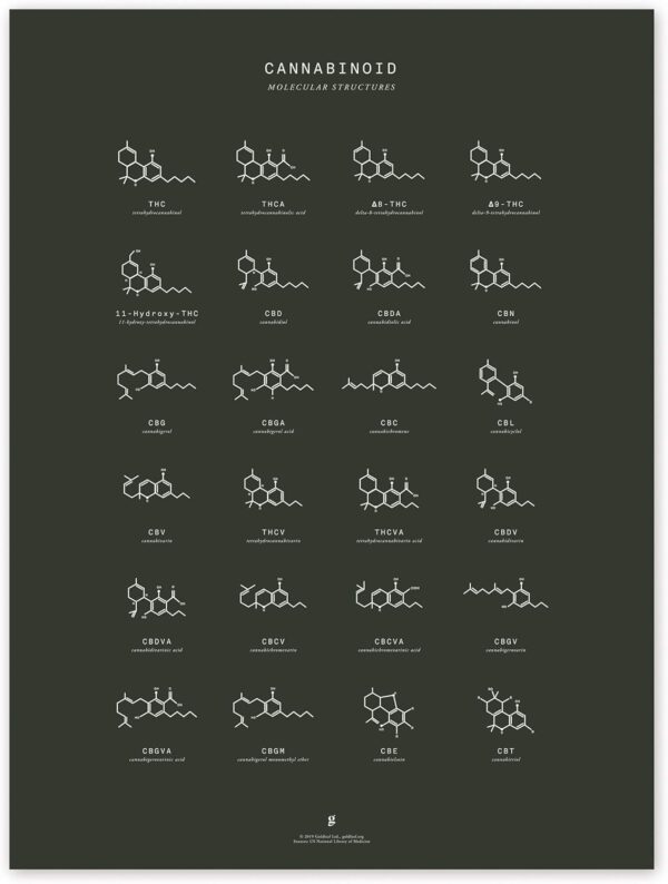 Goldleaf Cannabinoid Molecular Structures Chart Print, Minimalist Cannabinoid Chemical Structure Poster, Cannabis Science Art, Cannabinoid Education Poster (18x24)