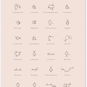 Goldleaf Terpene Molecular Structures Chart Print, Minimalist Terpene Chemical Structure Poster, Cannabis Decor, Science Wall Art, Terpene Education Infographic (24x36)