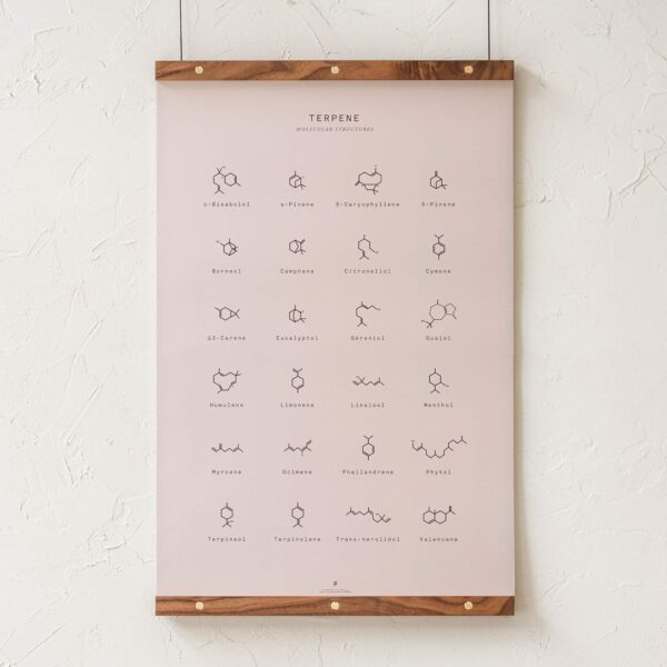 Goldleaf Terpene Molecular Structures Chart Print, Minimalist Terpene Chemical Structure Poster, Cannabis Decor, Science Wall Art, Terpene Education Infographic (24x36) - Image 3