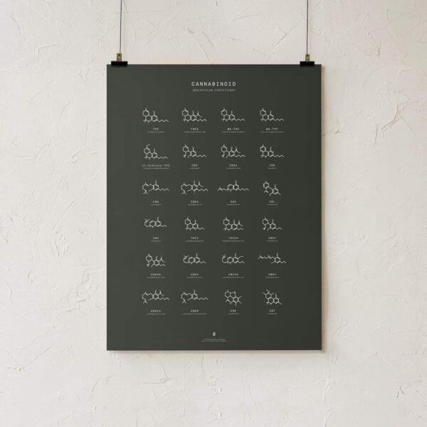Goldleaf Cannabinoid Molecular Structures Chart Print, Minimalist Cannabinoid Chemical Structure Poster, Cannabis Science Art, Cannabinoid Education Poster (18x24) - Image 2