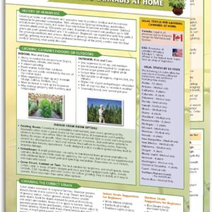 Growing Cannabis at Home Quick Reference Guide - Cannabis Educational Series by Permacharts