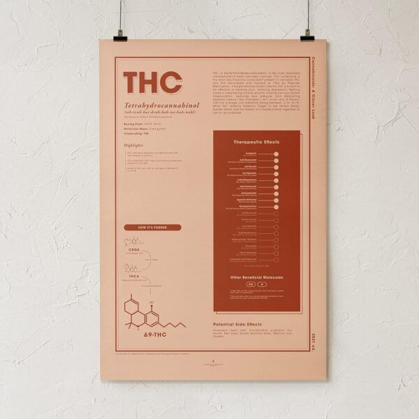 Goldleaf THC Infographic Print, Cannabinoid Education Poster, Tetrahydrocannabinol Chart, Dispensary Decor, Minimalist Cannabis Wall Art, Unframed (THC, 24x36) - Image 2
