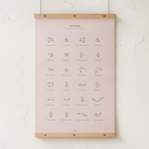 Goldleaf Terpene Molecular Structures Chart Print, Minimalist Terpene Chemical Structure Poster, Cannabis Decor, Science Wall Art, Terpene Education Infographic (24x36) - Image 4