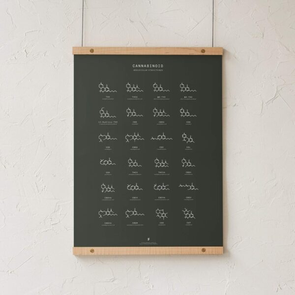 Goldleaf Cannabinoid Molecular Structures Chart Print, Minimalist Cannabinoid Chemical Structure Poster, Cannabis Science Art, Cannabinoid Education Poster (18x24) - Image 4