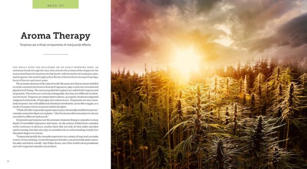 Weed: A Connoisseur’s Guide to Cannabis - Image 5