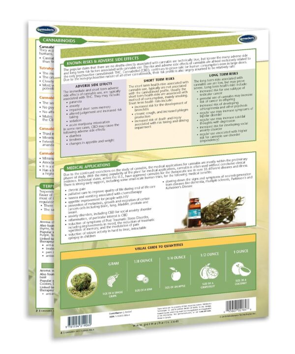 Cannabis 101 - Quick Reference Guide - Cannabis Educational Series by Permacharts - Image 3