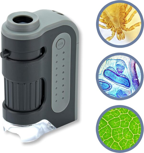 Carson MicroBrite Plus 60x-120x LED Lighted Pocket Microscope, Portable Handheld Microscope for Adults, Mini Microscope for Student Science Lab, STEM Educational Portable Microscope (MM-300)
