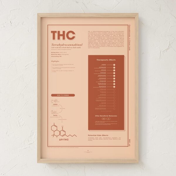 Goldleaf THC Infographic Print, Cannabinoid Education Poster, Tetrahydrocannabinol Chart, Dispensary Decor, Minimalist Cannabis Wall Art, Unframed (THC, 24x36) - Image 5
