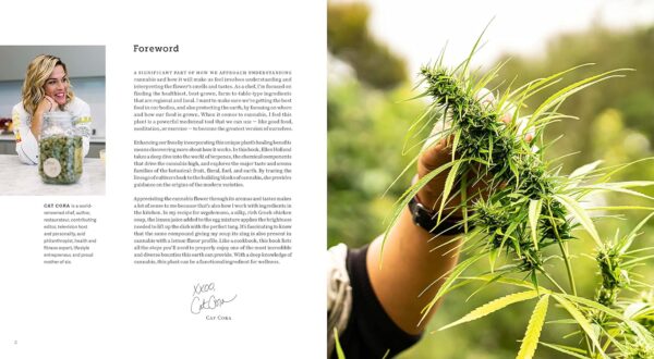 Weed: A Connoisseur’s Guide to Cannabis - Image 4