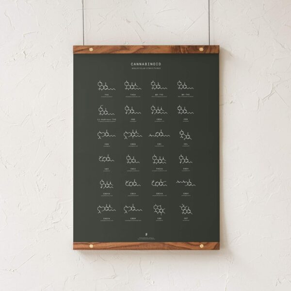 Goldleaf Cannabinoid Molecular Structures Chart Print, Minimalist Cannabinoid Chemical Structure Poster, Cannabis Science Art, Cannabinoid Education Poster (18x24) - Image 3