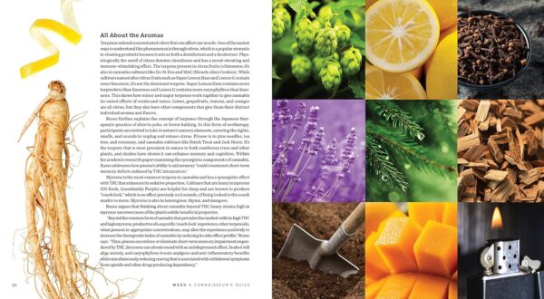 Weed: A Connoisseur’s Guide to Cannabis - Image 6