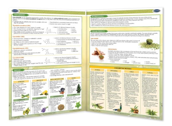 Cannabis 101 - Quick Reference Guide - Cannabis Educational Series by Permacharts - Image 2