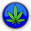 Cannabis accessories Marijuana Leaf Smoke Weed Drugs | gift PopSockets Swappable PopGrip - Image 3