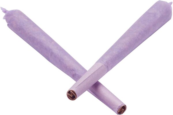 Pre Rolled Cones | Organic Rolling Papers | 50ct 1 1/4 Size with Tips - Slow Burn, Sturdy Natural Gum Seal, Ultra Thin with Plastic Cone in Popular Colors (Purple, 1 1/4 Size) - Image 4