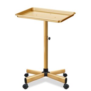 Premium Aluminum Salon Tray, Sturdy Corrosion-Resistant Adjustable Tray is Used for Salon Tray on Wheels, Salon Tool/Color Tray, Beauty Spa Tray, Dentist Tray, Etc.…(Gold)