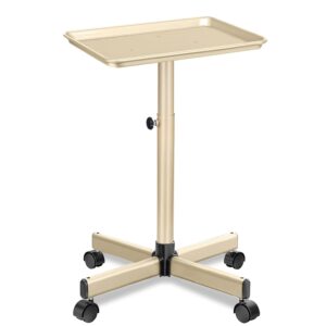 Salon Tray on Wheels, Champagne Gold Metal Rolling Tray with Adjustable Height, Metal Service Instrument Storage Salon Cart for Salon&Home Use