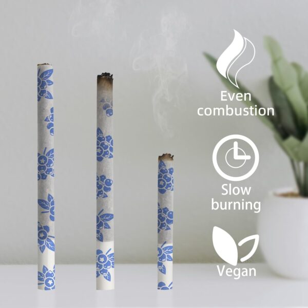 1 1/4 Size Rolling Paper, 10 Pack Mixed Flavor Rolling Paper, Different Fruit Flavor Cigarette Paper, 500pcs Fruit Attraction Fragrance Paper - Image 6