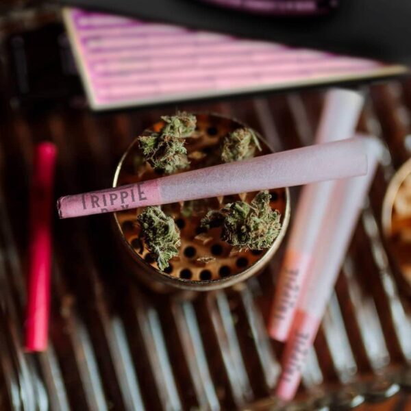 Trippie Day Pink 1/4 Size Pre Rolled Cones in an Eco friendly Box | Vegan & Non GMO | Includes 10 Packing Sticks | Pink 84mm - Image 2