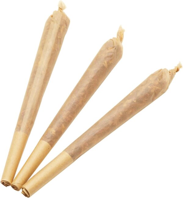 Pre Rolled Cones 1 1/4 Size Organic Rolling Papers with Tips 100 ct - Slow Burn, Sturdy Natural Gum Seal, Ultra Thin with Plastic Cone. Unbleached Rolling Cones in Natural Color (1 1/4 Size) - Image 5