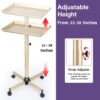 Salon Tray, Champagne Gold Salon Rolling Tray with Adjustable Height, Hair Stylist Tray, Suitable for Tattoo Tray and Dental Tray - Image 2