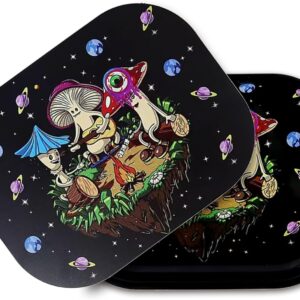 Metal Trays with PVC Soft Magnetic Lid Metal Tray with Lid Cover Small Cute Decorative Tray Ideal Storage for Home or on The Go, 7" x 5.5"