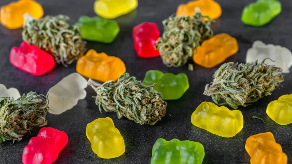 Exploring the Pros and Cons of Medical Marijuana: Insights on Cannabis, CBD, and THC in Healthcare Debate