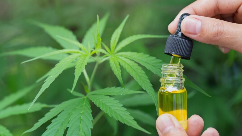 Cannabis Proven Effective for Back Pain Relief in New Studies