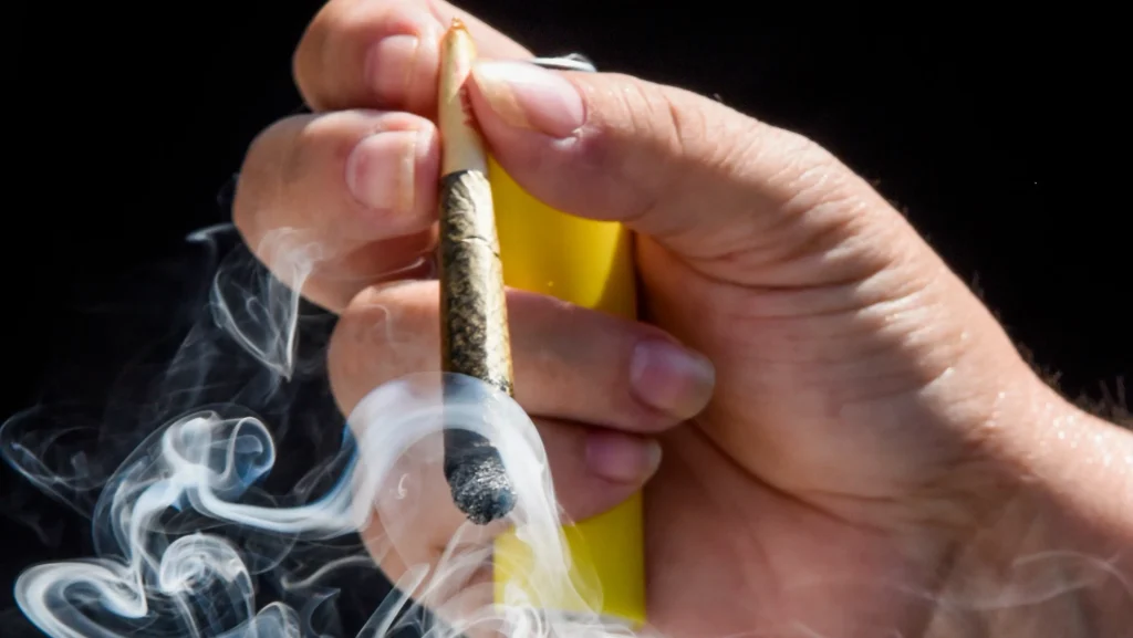 Marijuana Legalization in Mississippi: Essential Facts to Know Before Christmas 2025 Events