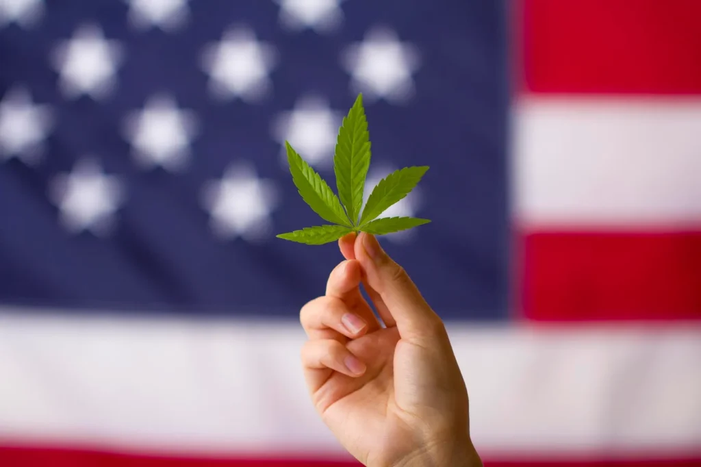 2026 Marijuana Bills Indicate Major Changes in Drug Testing Policies and Compliance