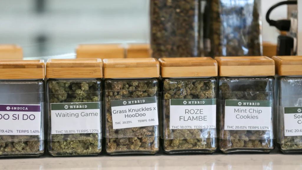 Understanding Medical Marijuana in Mississippi: Key Facts and Insights