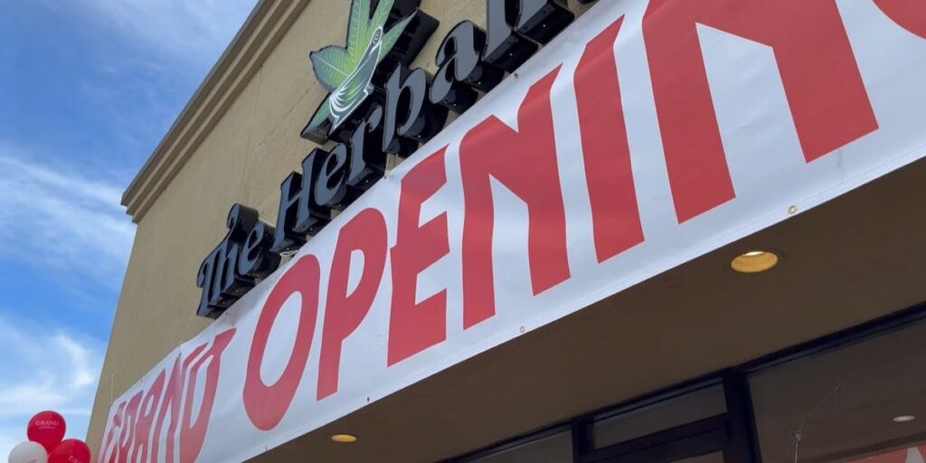 Dispensary Celebrates Grand Opening as Cannabis Sales Temporarily Paused by Health Department