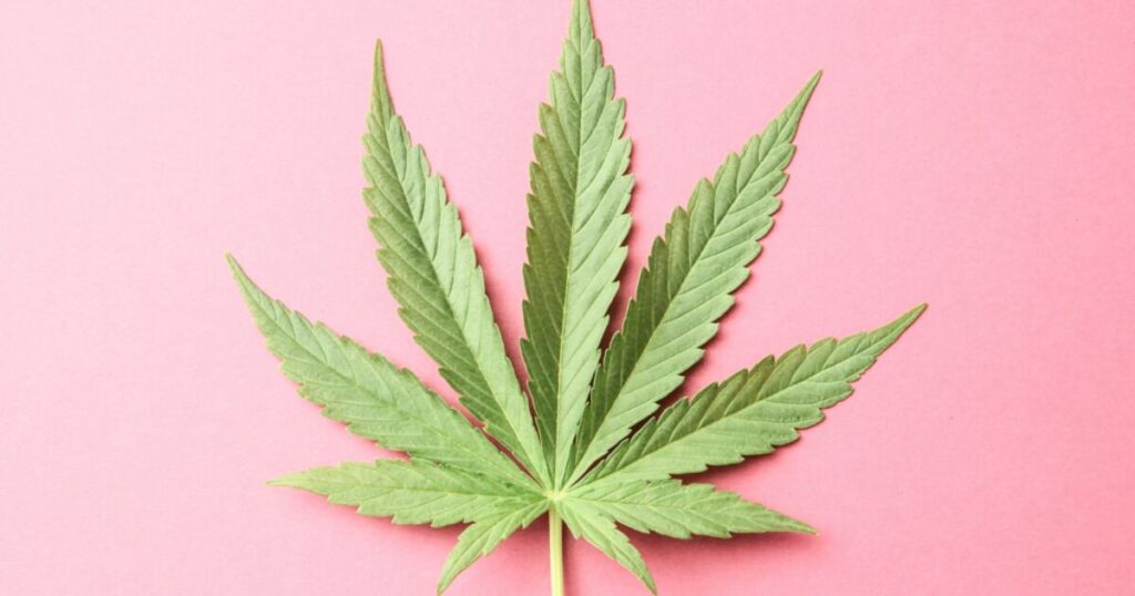 Reckon Insights: Essential Updates and Key Information You Need to Know