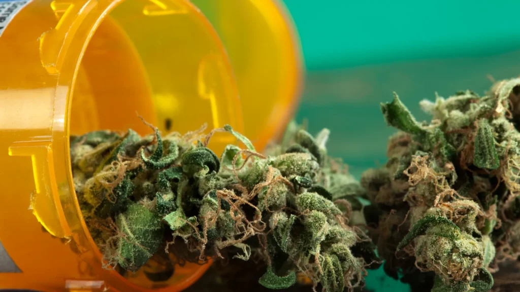Mississippi Approves Medical Marijuana, Expanding Patient Access and Treatment Options