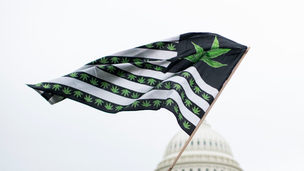 Marijuana Legalization on State Ballots: Essential Guide for the 2020 Election