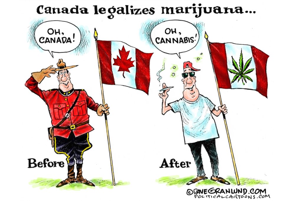 Minnesota Can Look to Others for Effective Cannabis Decriminalization Strategies